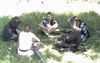Filename=special2005hq.avi
Filesize=29536KB
Dimensions=488x308
Date added=Dec 29, 2006 special2005hq.avi